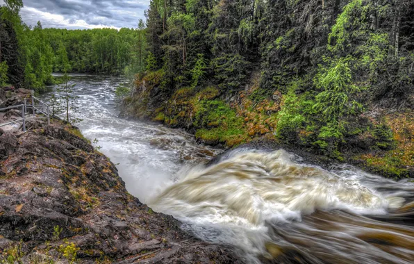 Forest, clouds, trees, river, stones, overcast, for, Russia
