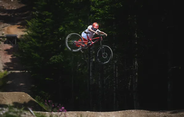 Forest, flowers, track, cyclist, the trick