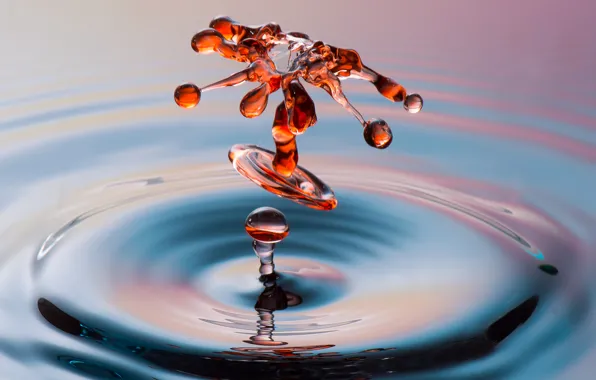 Picture water, circles, squirt, color, drop, splash, liquid