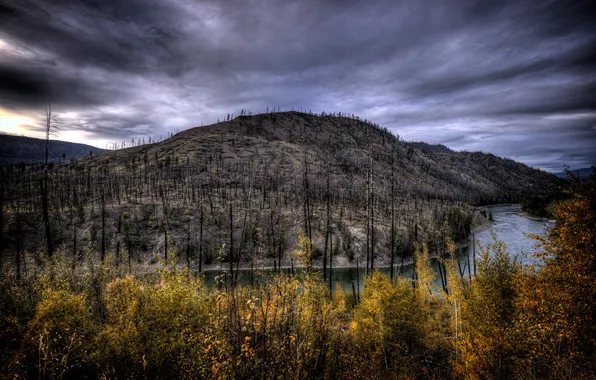 Forest, landscape, mountains, river