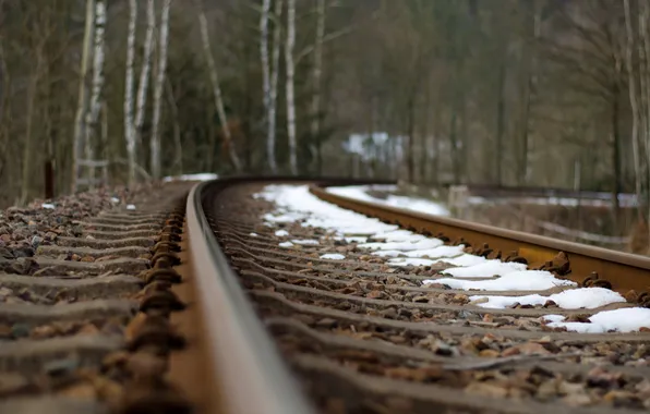 Picture macro, rails, railroad