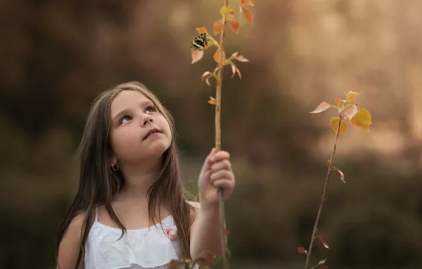Picture sprig, girl, Carmen Gabaldon