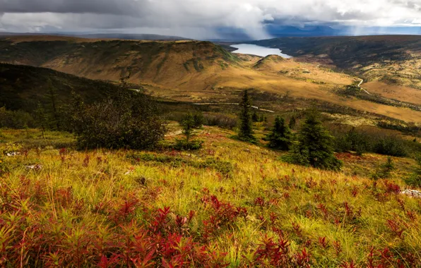 Lake, hills, panorama, USA, Alaska, Denali National Park