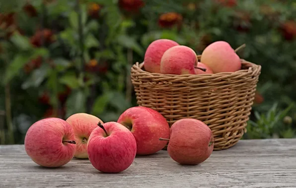 Picture basket, apples, fruit