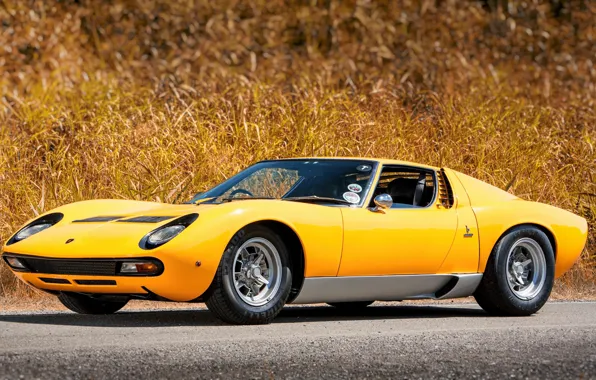 Color, Auto, Yellow, Grass, Lamborghini, Machine, 1971, Lights