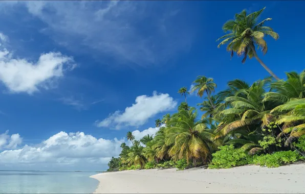 Wallpaper beach, landscape, nature, palm trees, island, beauty ...