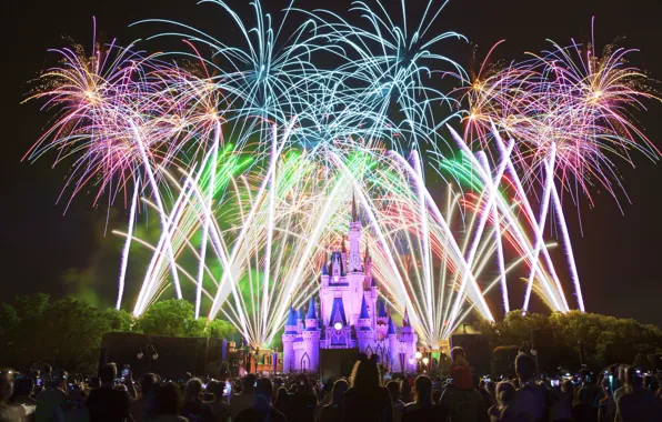 Night, people, castle, salute, Disneyland