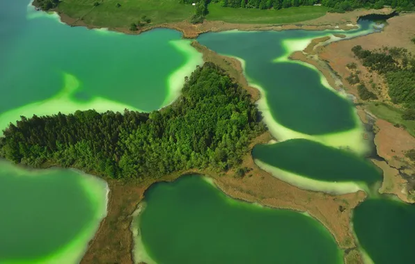 Picture trees, lake, island, Germany, Bayern, Osterseen