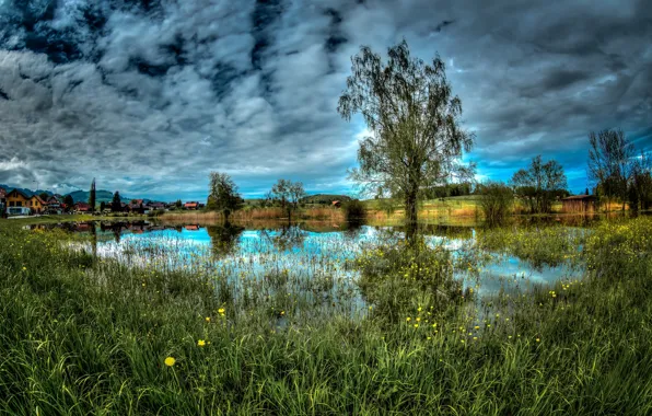 Picture the sky, trees, nature