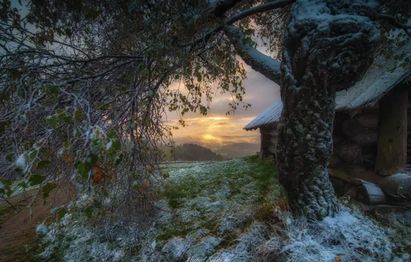 Picture frost, road, autumn, landscape, nature, house, tree, dawn