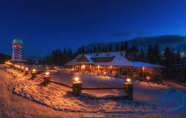 Picture winter, forest, snow, landscape, mountains, night, nature, lighting