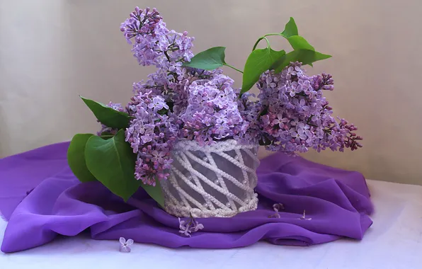 Leaves, flowers, bouquet, spring, fabric, vase, still life, flowering