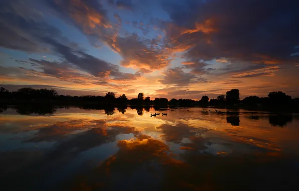 The sky, water, reflection, duck, the evening