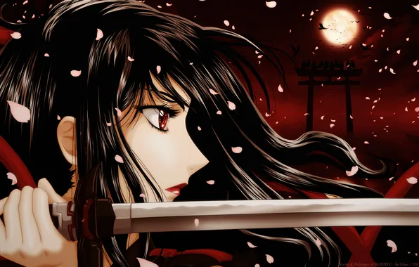 Water, girl, clouds, birds, night, weapons, the moon, katana