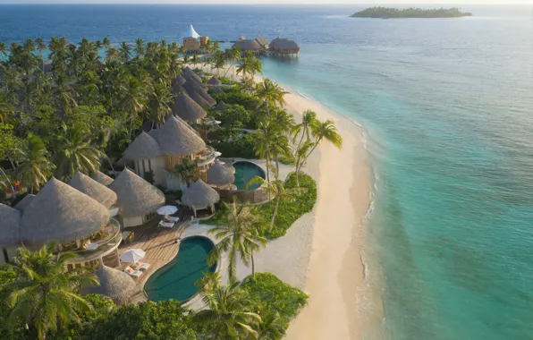 Sea, palm trees, pool, The Maldives, the hotel, Bungalow, The Nautilus Maldives