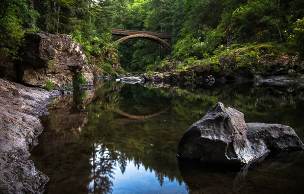 Picture forest, bridge, reflection, river, stone, Washington, Washington, river Lewis