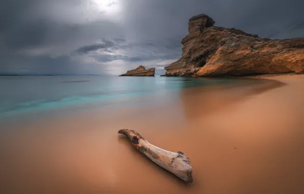 Picture sea, beach, nature, coast, log, Corsica, Corsica, Pertusato