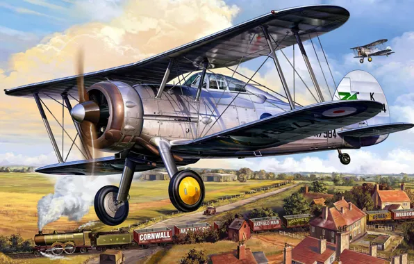 Picture the plane, fighter, British, biplane, air, Royal, Gloster Gladiator MK. 1, forces.