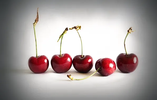 Picture cherry, berries, Cherry Ripe