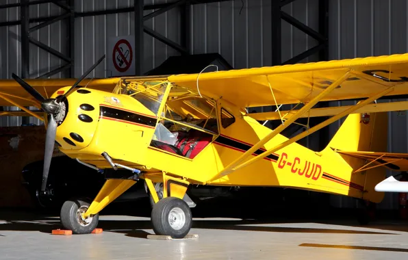Easy, American, a plane with folding krylyami, Denney Kitfox, Model 3