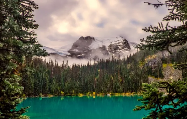 Picture forest, clouds, trees, mountains, fog, lake, stones, rocks
