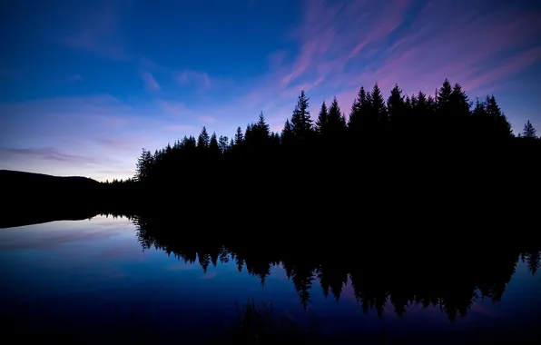 Forest, lake, reflection, black, the evening