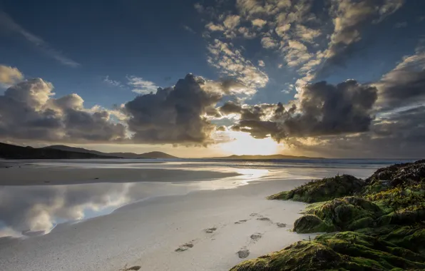 Sand, sea, beach, the sky, the sun, clouds, light, algae