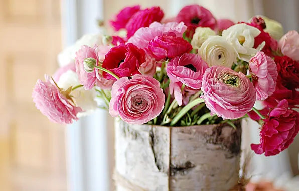 Flowers, bark, peonies, birch, Ranunculus