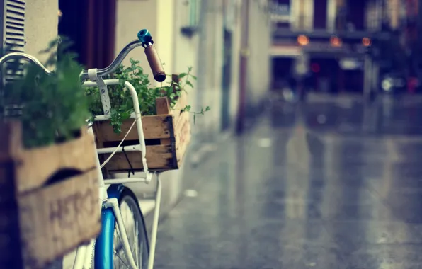 Greens, grass, flowers, bike, great, the city, background, Wallpaper