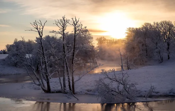 Winter, river, morning