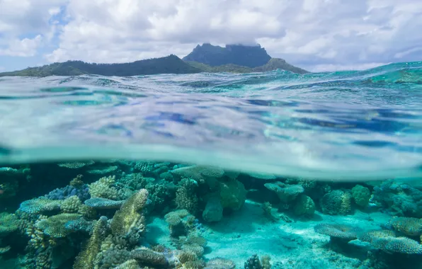 Picture sea, corals, Bora Bora, The Pacific ocean, French Polynesia, Leeward Islands