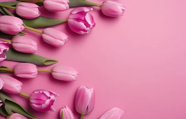 Picture flowers, bouquet, tulips, pink, flowers, tulips, spring, bouquet