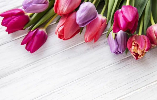 Picture flowers, colorful, tulips, wood, flowers, tulips, spring, purple