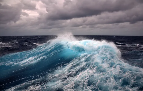 The wind, storm, water, view, wave, surface