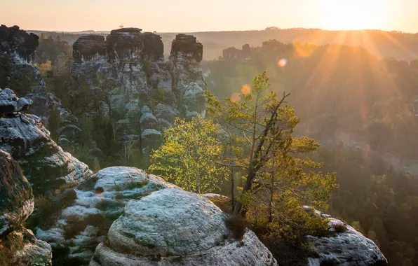 Picture the sun, light, trees, mountains, fog, glare, stones, open