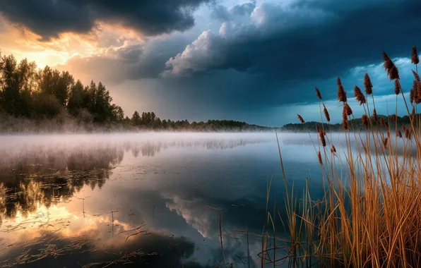 Landscape, lake, fog