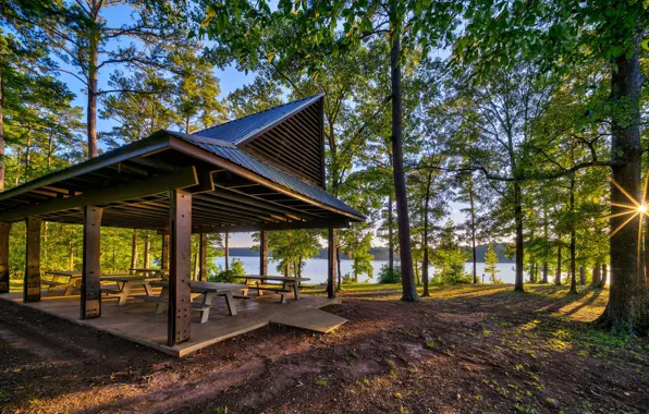 Picture summer, the sun, trees, lake, shadow, gazebo