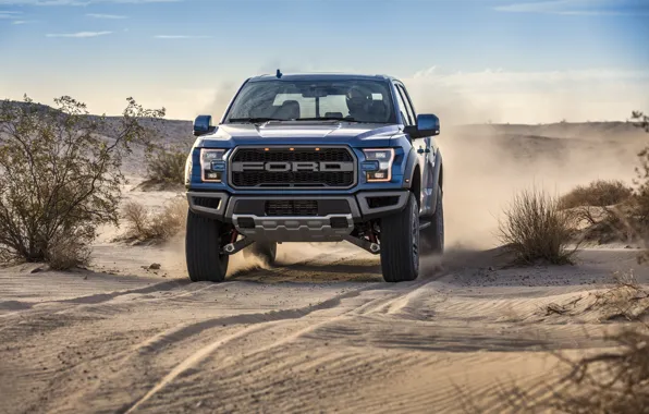 Ford, Dust, Desert, Lights, Raptor, F-150, 2019, Ford F-150 Raptor
