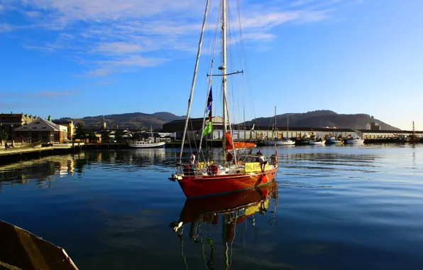 The city, the ocean, yacht, port, Dunedin