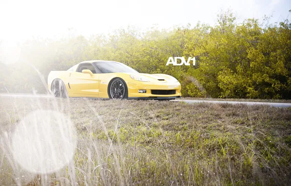 Picture road, the sky, grass, yellow, Corvette, Chevrolet, Chevrolet, the bushes