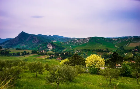 Field, trees, mountains, space, Italy, Brisighella