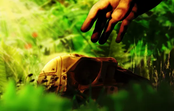 Grass, the sun, hand, Mask
