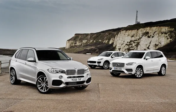 Shore, BMW, Volvo, BMW, XC90, Volvo, crossover, F15