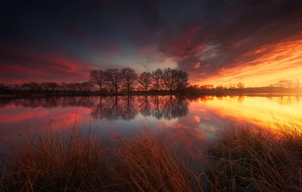 Picture the sky, clouds, trees, lake, reflection, France, spring, the evening