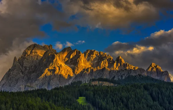 Forest, the sky, clouds, light, mountains, rocks, tops