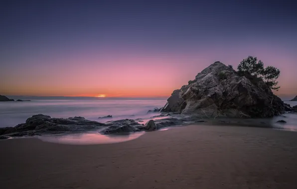 Sea, trees, landscape, nature, stones, rocks, dawn, shore