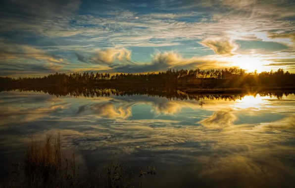 Forest, the sky, the sun, clouds, rays, light, sunset, lake