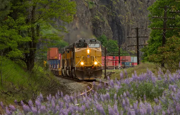 Nature, rails, train, railroad, locomotive