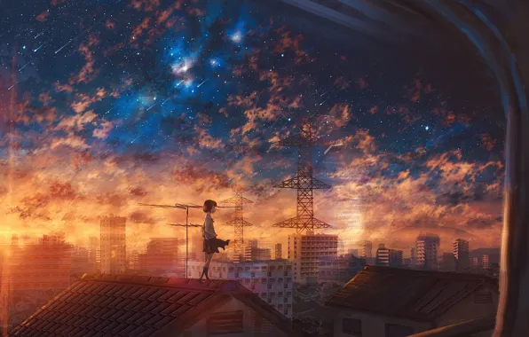 Roof, sunset, schoolgirl, Starfall
