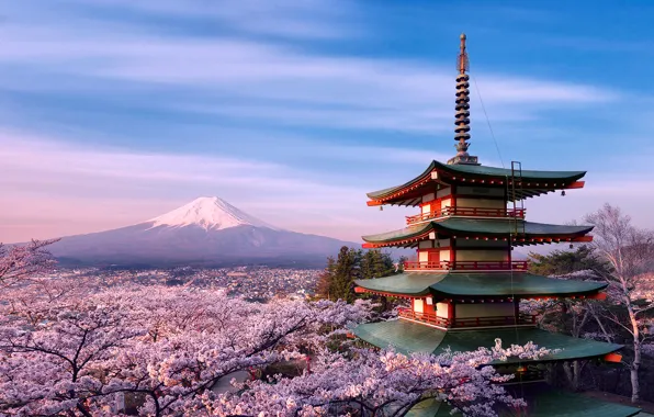 Picture trees, flowers, house, mountain, spring, morning, Japan, Sakura